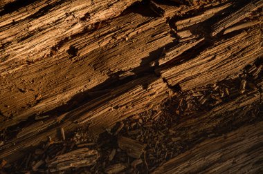 Asfalt ve toprak tabakası altında Jeoloji Bilimleri