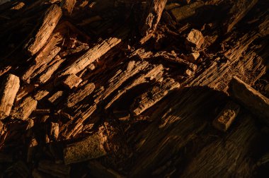 Asfalt ve toprak tabakası altında Jeoloji Bilimleri