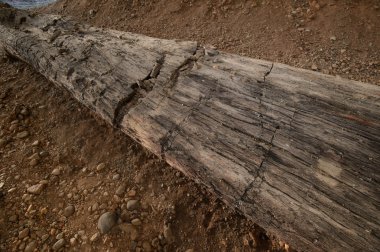 Asfalt ve toprak tabakası altında Jeoloji Bilimleri