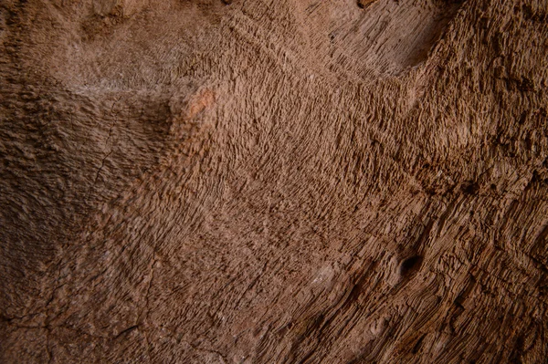 Sciences géologiques, Petrified wood texture background. Ancienne pierre gemme naturelle . — Photo
