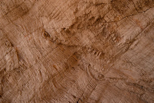 Sciences géologiques, Petrified wood texture background. Ancienne pierre gemme naturelle . — Photo