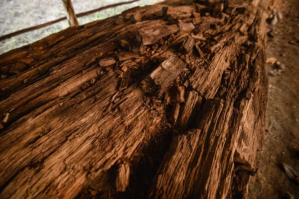 Geological Sciences, Beneath the asphalt and Layer of soil — Stock Photo, Image