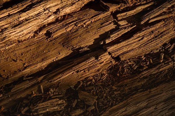 Asfalt ve toprak tabakası altında Jeoloji Bilimleri