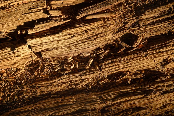 Asfalt ve toprak tabakası altında Jeoloji Bilimleri