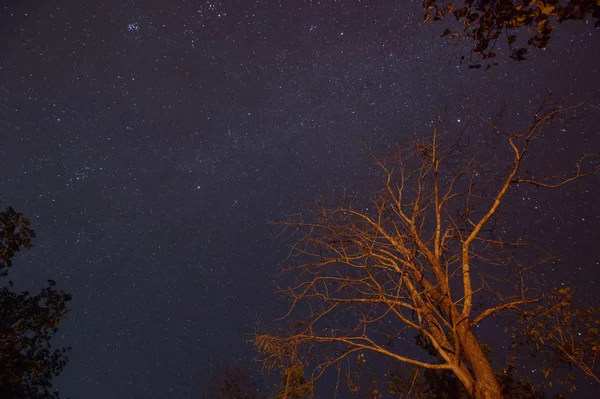 Sentier étoilé, Paysage nocturne — Photo