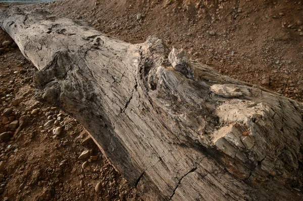 Sciences géologiques, sous l'asphalte et la couche de sol — Photo