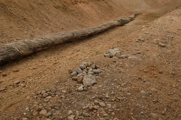 Geologische wetenschappen, een groot stuk hout dat heeft zijn versteend middels een unieke mineralisatie proces, Thailand — Stockfoto