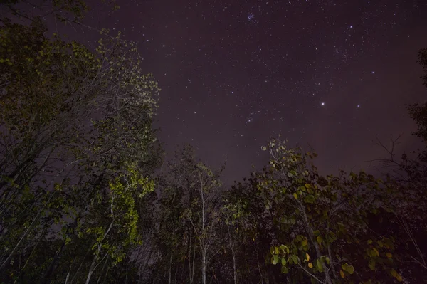 Star trail, Paisagem noturna — Fotografia de Stock