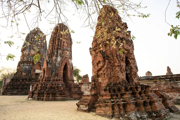 Ayutthaya tapınak Tayland genel bakış. Antik bric kalıntıları — Stok fotoğraf