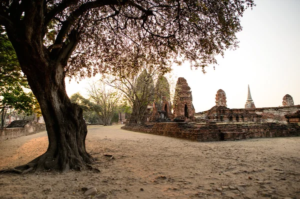 Overview of Ayutthaya temples in Thailand. Ruins of ancient bric — Stock Photo, Image