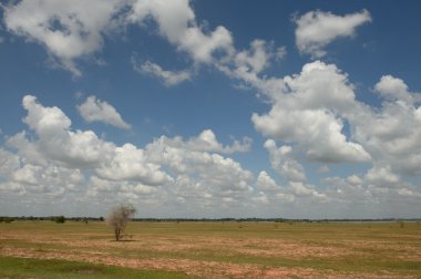 Düşük beyaz bulutlar Tayland kuru arazi üzerinde yüzen.