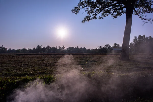 Fuego y humo en un campo al amanecer — Foto de Stock