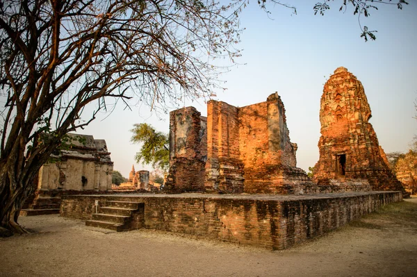 Descripción general de los templos de Ayutthaya en Tailandia. Ruinas de bric antiguo —  Fotos de Stock