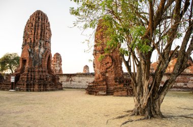 Ayutthaya tapınak Tayland genel bakış. Antik bric kalıntıları