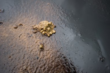 Ham Petrol Petrol Yayılımı Ao Prao Beach Samet Adası'nda kaza
