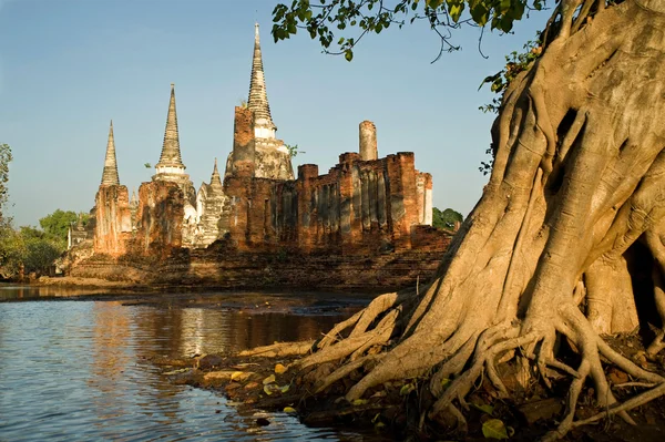 Historical park in Ayutthaya, Thailand — Stock Photo, Image