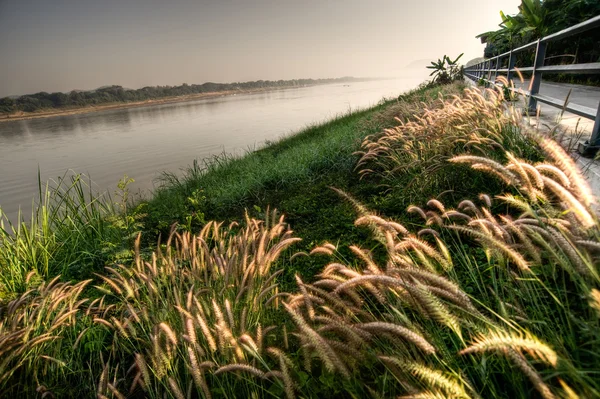 아침에 메콩 강 — 스톡 사진