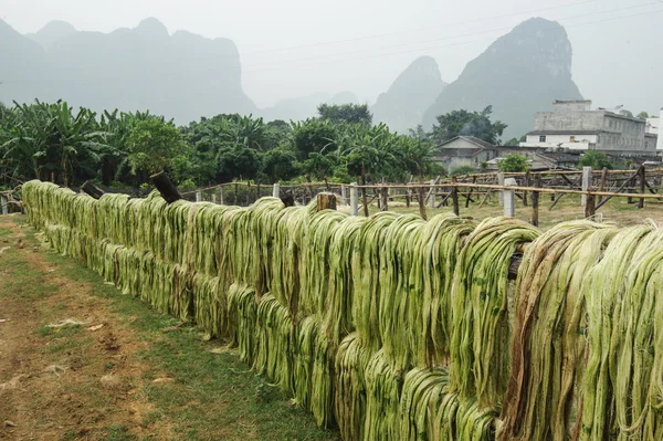 Сизаль волокна, сировини з Китаю — стокове фото