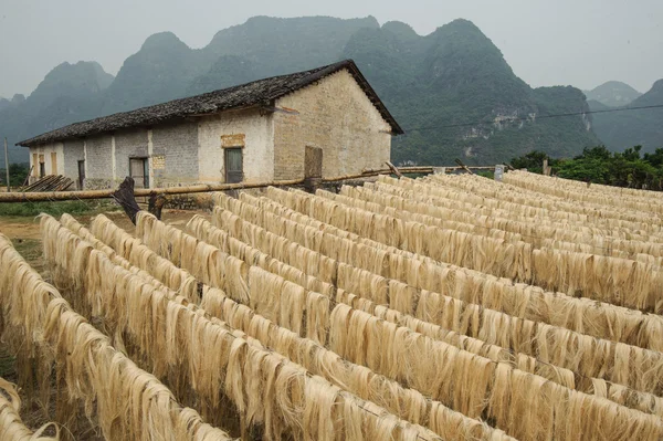 Fibra de sisal, materia prima de China — Foto de Stock