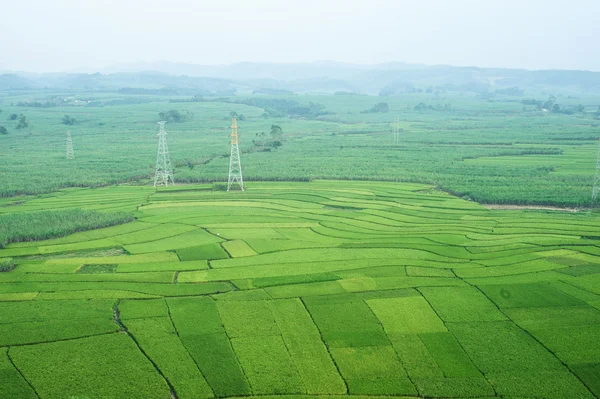 Groene rijst terrassen met suikerriet veld in Guangxi — Stockfoto