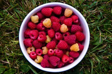 Bir kase kırmızı ve sarı ahududu