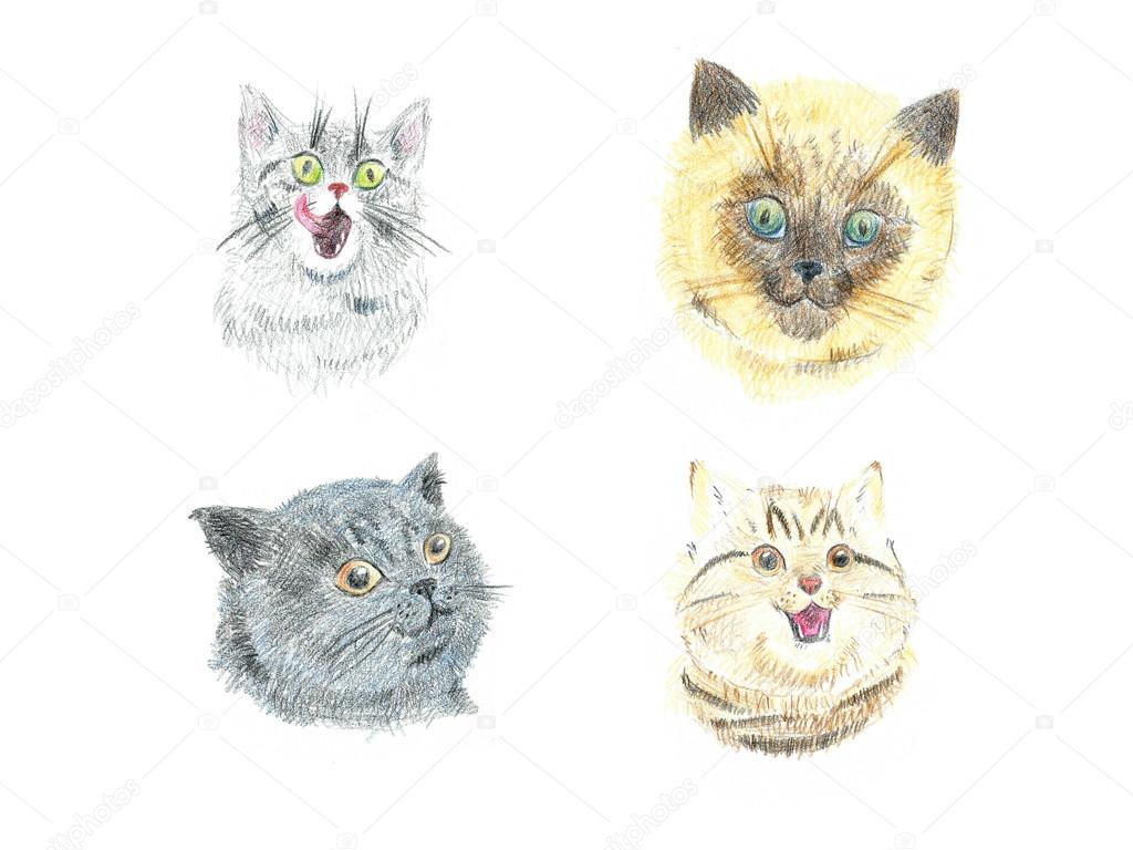 Collection of cats' portraits drawn with watercolor pencils. Hand painted art isolated on white background. Raster illustration.