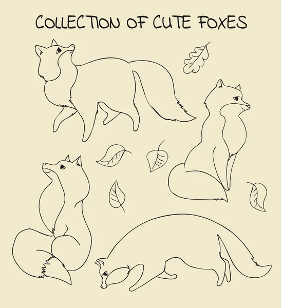 Collectie van getekende vossen — Stockvector