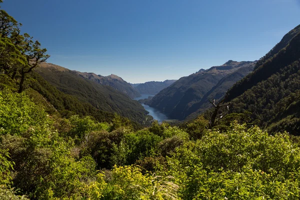 Doubtful Sound, Northland NP, Nova Zelândia — Fotografia de Stock