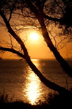 Golden Sunset - stok görüntü