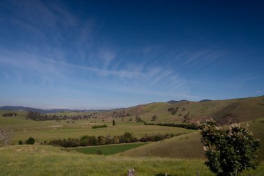 yalnız yatay - stok görüntü
