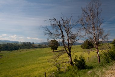dağ manzarası - stok görüntü