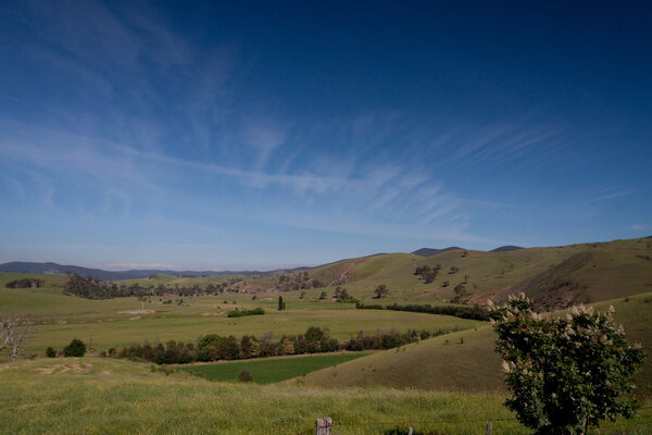 одинокий пейзаж - Stock image
