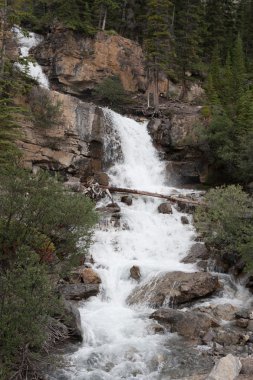 şelale - stok görüntü