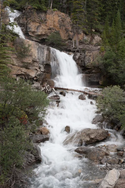 Waterfall - Stock image — Stock Photo, Image