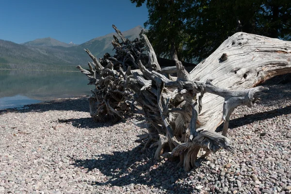 Lake McDonald  -  Stock Image — Stock Photo, Image