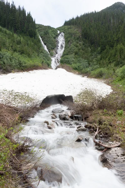 Creek in the mountains - Stock image — Stock Photo, Image