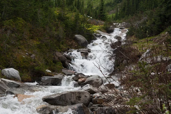 Creek dağlarda - stok görüntü — Stok fotoğraf