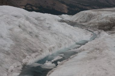 Athabasca buzul Jasper Milli Parkı'nda-hisse senedi IMAG erime