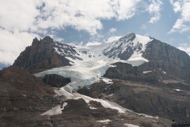 Athabasca buzul Jasper Milli Parkı'nda-stok görüntü