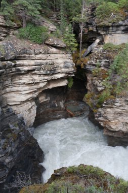 Athabasca Falls - stok görüntü