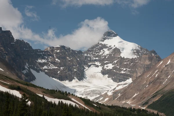 Glaciar Athabasca en el Parque Nacional Jasper - Imagen de stock —  Fotos de Stock