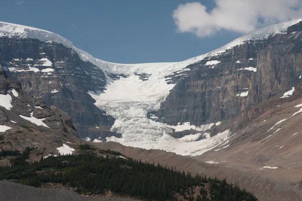 Athabasca Glacier in Jasper National Park  -  Stock Image — Stock Photo, Image