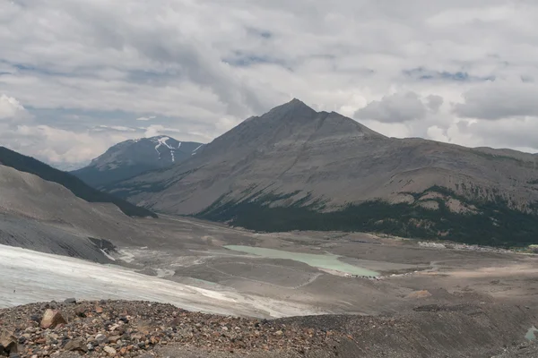 Athabasca Glacier in Jasper National Park  -  Stock Image — Stock Photo, Image