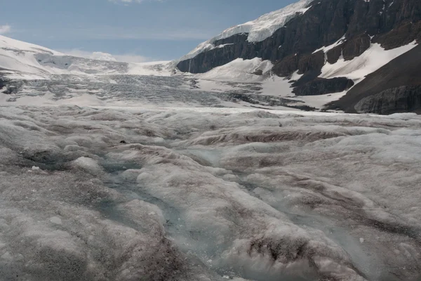 Athabasca buzul Jasper Milli Parkı'nda-hisse senedi IMAG erime — Stok fotoğraf