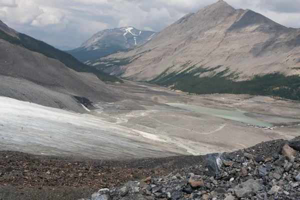 Glaciar Athabasca en el Parque Nacional Jasper - Imagen de stock —  Fotos de Stock