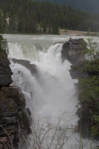 Athabasca Falls  -  Stock Image — Stock Photo, Image