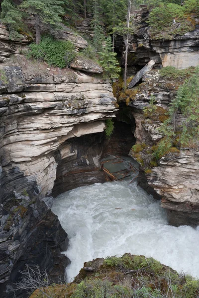 Athabasca Falls  -  Stock Image — Stock Photo, Image