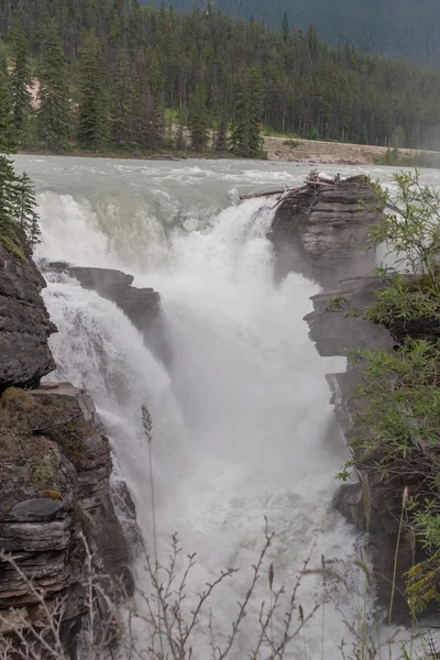 Athabasca Falls, Canada  -  Stock Image — Stock Photo, Image