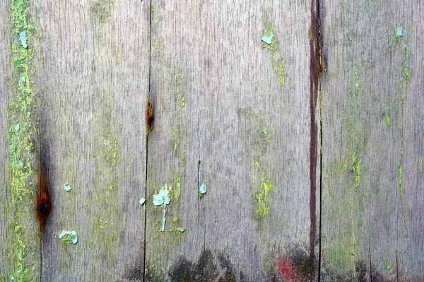 Grünalgen Auf Holztür Hintergrund Und Textur — Stockfoto