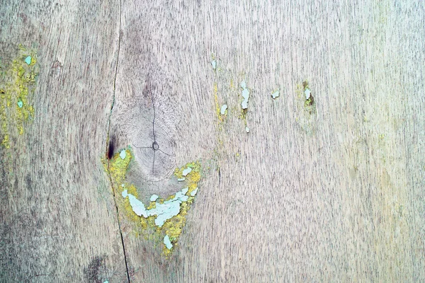 Blue Green Algae Wooden Door Background Texture — ストック写真